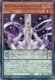 ڥץ쥤ѡͷ 25PP-JP015 ģĥ롦٥䡼 (ܸ Ρޥ) PREMIUM PACK 2025 ץߥѥå š