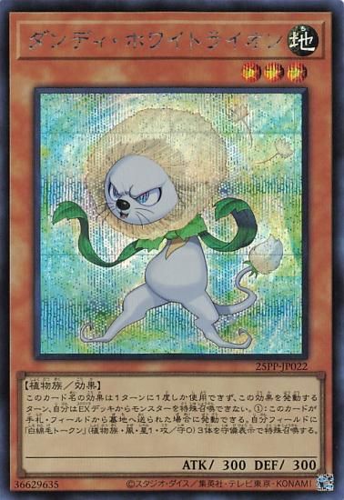 ڥץ쥤ѡͷ 25PP-JP022 ǥۥ磻ȥ饤 (ܸ åȥ쥢) PREMIUM PACK 2025 ץߥѥå š