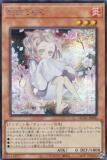 ڥץ쥤ѡۡڥ饹Ȱ㤤ͷ QCAC-JP050 ή (ܸ åȥ쥢) QUARTER CENTURY ART COLLECTION š