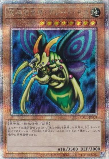 ڥץ쥤ѡͷ EDC1-JP001 ˴֡졼ȡ⥹ (ܸ 25th ꡼åȥ쥢) Switch/ͷ ꡼ǥ쥯Ͽ š