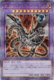 ڥץ쥤ѡۡڥ饹Ȱ㤤ͷ QCAC-JP030 Сɡɥ饴 (ܸ 25th ꡼åȥ쥢)š