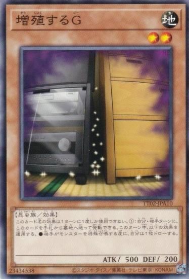 ڥץ쥤ѡͷ TT02-JPA10  (ܸ Ρޥ) ƥȥ饤ǥå ĶR-ACE š