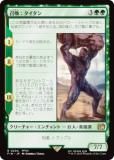 ޥå㥶 FIN JP 0204  (ܸ 쥢) (MTG)