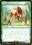 FOILۥޥå㥶 FIN JP 0173 ХΥ륱Υ (ܸ ) (MTG)