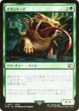 FOILۥޥå㥶 FIN JP 0187 ȡ (ܸ ) (MTG)