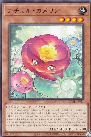 ڥץ쥤ѡ ͷ DABL-JP021 ʥ롦ꥢ (ܸ Ρޥ) 󥰡֥饹 š