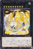 ڥץ쥤ѡ ͷ CYAC-JP046 Ǿסݸס (ܸ 쥢) Сȡࡦ š