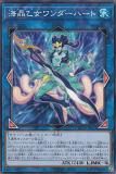 ڥץ쥤ѡ ͷ DP26-JP043 ϡ (ܸ Ρޥ) ǥ奨ꥹȥѥåݿʥΥǥ奨ꥹԡ š