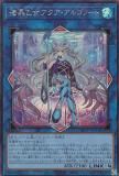 ڥץ쥤ѡ ͷ DP26-JP034 르Ρ (ܸ åȥ쥢) ǥ奨ꥹȥѥåݿʥΥǥ奨ꥹԡ š