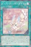 ڥץ쥤ѡ ͷ DBAD-JP021 ԥ奢ꥣϥåԡ꡼ (ܸ Ρޥѥ) ᥤ󥰡ǥե š