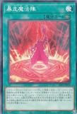 ڥץ쥤ѡ ͷ SLF1-JP031 ˽ˡ (ܸ Ρޥ) SELECTION 5 š