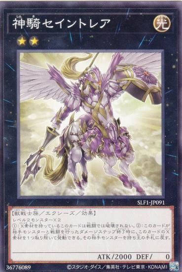 ڥץ쥤ѡ ͷ SLF1-JP091 ȥ쥢 (ܸ Ρޥ) SELECTION 5 š