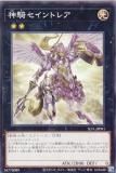 ڥץ쥤ѡ ͷ SLF1-JP091 ȥ쥢 (ܸ Ρޥ) SELECTION 5 š
