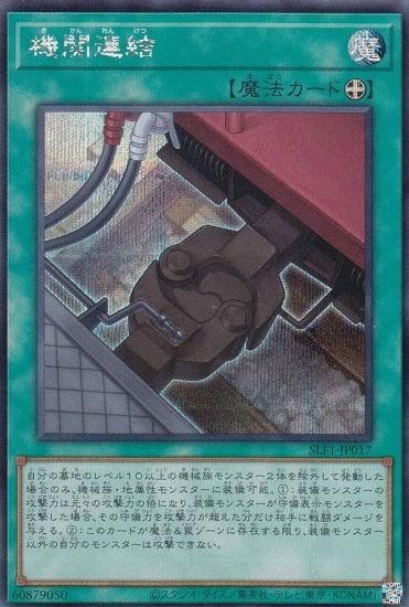 ڥץ쥤ѡ ͷ SLF1-JP017 Ϣ (ܸ åȥ쥢) SELECTION 5 š