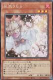 ڥץ쥤ѡ ͷ RC04-JP009 ή (ܸ 쥯쥢) RARITY COLLECTION QUARTER CENTURY EDITION š
