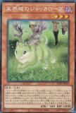 ڥץ쥤ѡ ͷ RC04-JP014 ̤Υå (ܸ 쥯쥢) RARITY COLLECTION QUARTER CENTURY EDITION š