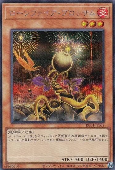 ڥץ쥤ѡ ͷ RC04-JP002 ե֥å (ܸ åȥ쥢) RARITY COLLECTION QUARTER CENTURY EDITION š