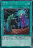 ڥץ쥤ѡ ͷ RC04-JP058 λ̾ (ܸ åȥ쥢) RARITY COLLECTION QUARTER CENTURY EDITION š