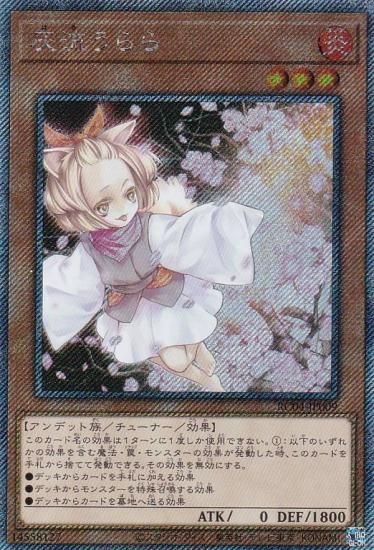 ڥץ쥤ѡ ͷ RC04-JP009 ή (ܸ ȥ饷åȥ쥢) RARITY COLLECTION QUARTER CENTURY EDITION š