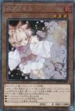 ڥץ쥤ѡ ͷ RC04-JP009 ή (ܸ ȥ饷åȥ쥢) RARITY COLLECTION QUARTER CENTURY EDITION š