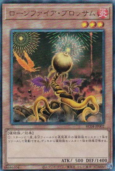 ڥץ쥤ѡ ͷ RC04-JP002 ե֥å (ܸ ƥåȥ쥢)  š