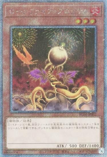 ڥץ쥤ѡ ͷ RC04-JP002 ե֥å (ܸ ȥ饷åȥ쥢)  š