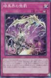 ڥץ쥤ѡ ͷ SR13-JP034 ŹĨȳ (ܸ ѡ쥢) STRUCTURE DECK R  ǥӥ륺  š