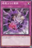 ڥץ쥤ѡ ͷ SR13-JP035 Źη (ܸ Ρޥ) STRUCTURE DECK R  ǥӥ륺  š