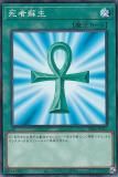 ڥץ쥤ѡ ͷ DR01-JPA17  (ܸ Ρޥ) ǥ奨磻 ǥååEX š