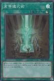 ڥץ쥤ѡ ͷ DR01-JPB24  (ܸ ѡ쥢) ǥ奨磻 ǥååEX š