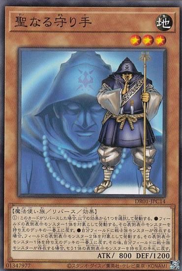 ڥץ쥤ѡ ͷ DR01-JPC14 ʤ (ܸ Ρޥ) ǥ奨磻 ǥååEX š