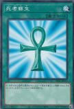 ڥץ쥤ѡ ͷ DR01-JPC15  (ܸ Ρޥ) ǥ奨磻 ǥååEX š
