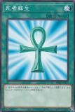 ڥץ쥤ѡ ͷ DR02-JPA17  (ܸ Ρޥ) ǥ奨磻 ǥååEX ROUND2 š