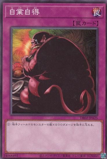 ڥץ쥤ѡ ͷ DR02-JPA25 ȼ (ܸ Ρޥ) ǥ奨磻 ǥååEX ROUND2 š