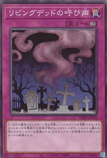 ڥץ쥤ѡ ͷ DR02-JPD28 ӥ󥰥ǥåɤθƤ (ܸ Ρޥ) ǥ奨磻 ǥååEX ROUND2 š