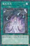 ڥץ쥤ѡ ͷ SSB1-JP016 Ųŷ (ܸ Ρޥѥ) SECRET SHINY BOX š