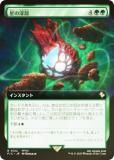 FOIL/ĥǡۥޥå㥶 FIC JP 0122 οʥ (ܸ 쥢) Ψ (MTG)