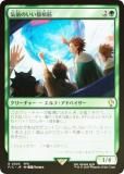 ڥFOILۥޥå㥶 FIC JP 0305 Τ (ܸ 쥢) Ψ (MTG)