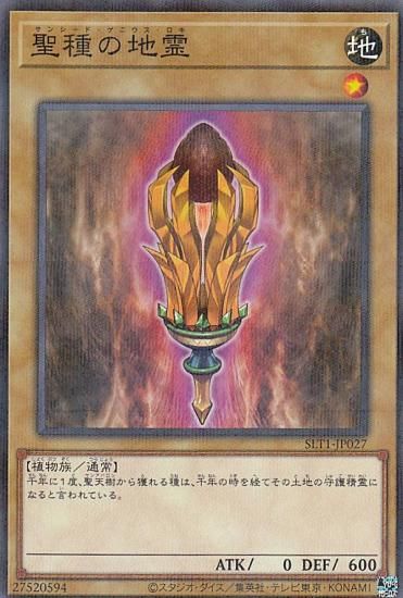 ڥץ쥤ѡͷ SLT1-JP027  (ܸ Ρޥѥ) - 쥯 - SELECTION 10 š