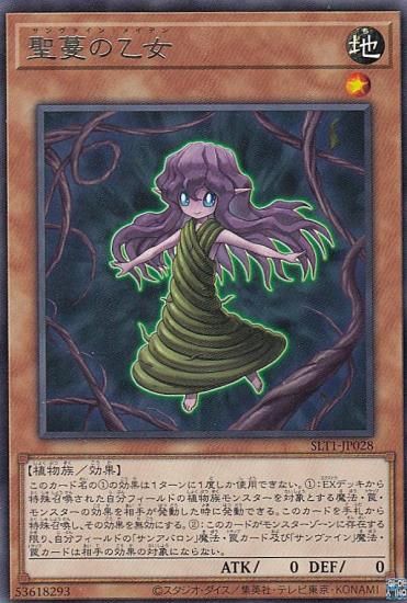 ڥץ쥤ѡͷ SLT1-JP028 ̢β (ܸ 쥢) - 쥯 - SELECTION 10 š