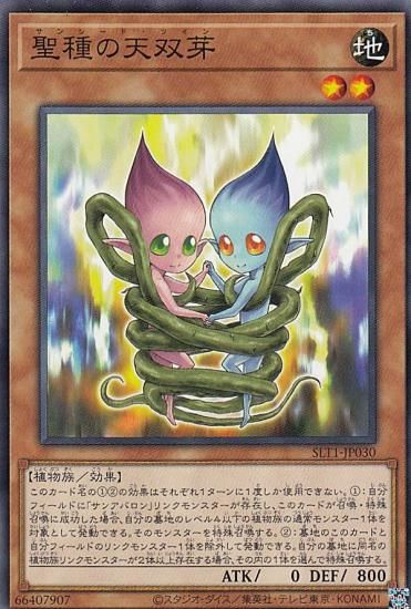 ڥץ쥤ѡͷ SLT1-JP030 ŷв (ܸ Ρޥ) - 쥯 - SELECTION 10 š