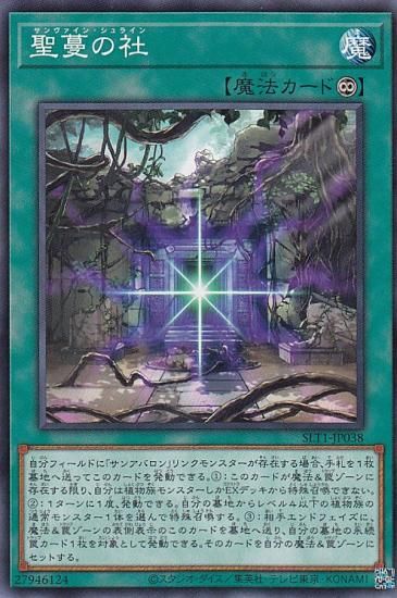ڥץ쥤ѡͷ SLT1-JP038 ̢μ (ܸ Ρޥ) - 쥯 - SELECTION 10 š