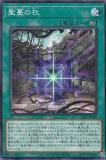 ڥץ쥤ѡͷ SLT1-JP038 ̢μ (ܸ Ρޥ) - 쥯 - SELECTION 10 š