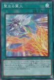 ڥץ쥤ѡͷ SLT1-JP045 ʤ (ܸ ѡ쥢) - 쥯 - SELECTION 10 š