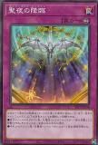 ڥץ쥤ѡͷ SLT1-JP048 ι (ܸ Ρޥ) - 쥯 - SELECTION 10 š