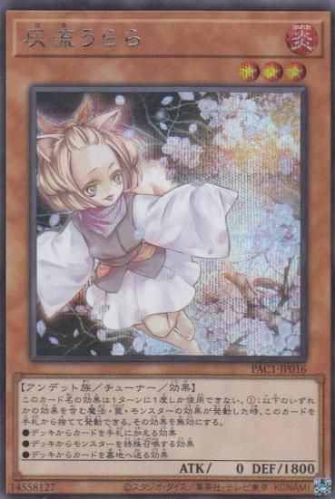 ڥץ쥤ѡͷ PAC1-JP016 ή (ܸ åȥ쥢) PRISMATIC ART COLLECTION š