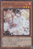 ڥץ쥤ѡͷ PAC1-JP016 ή (ܸ ѡ쥢) PRISMATIC ART COLLECTION š