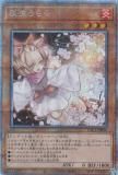 ڥץ쥤ѡͷ PAC1-JP016 ή (ܸ ץꥺޥƥååȥ쥢) PRISMATIC ART COLLECTION š
