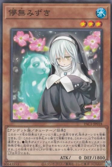 ڥץ쥤ѡͷ PAC1-JP018 ѳ̵ߤ (ܸ Ρޥѥ) PRISMATIC ART COLLECTION š