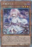 ڥץ쥤ѡۡڥ饹Ȱ㤤ͷ PAC1-JP015 ͩ (ܸ ץꥺޥƥååȥ쥢) PRISMATIC ART COLLECTION š